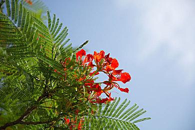 三消解谜视觉小说《Princess Farmer》 现已于Steam发售